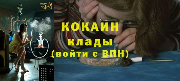стаф Осинники