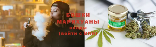 PSILOCYBIN Богородицк