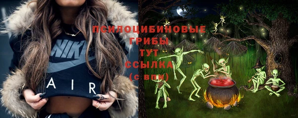 мяу мяу мука Белокуриха