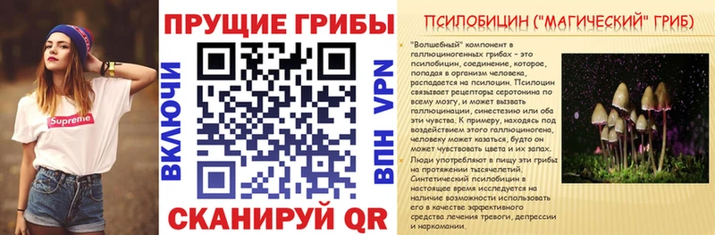 Галлюциногенные грибы Psilocybe  как найти закладки  Красноуфимск 